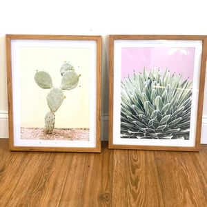 Framed Cactus Prints